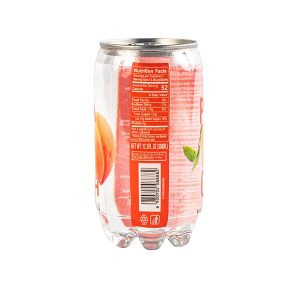 220ml Fruit Flavor Sparkling Water Drink (6)